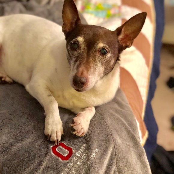 Meet your Posher, Christina - Picture 7 of 7